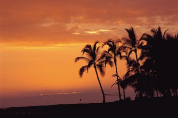 Big Island03