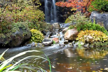 Rockford Anderson Gardens Fall 